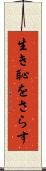 生き恥をさらす Scroll