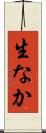 生なか Scroll