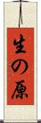 生の原 Scroll