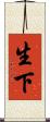 生下 Scroll