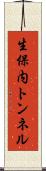 生保内トンネル Scroll
