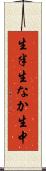 生半 Scroll