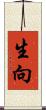 生向 Scroll