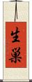 生巣 Scroll