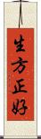 生方正好 Scroll