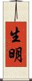 生明 Scroll