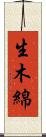 生木綿 Scroll
