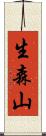 生森山 Scroll
