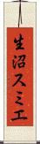 生沼スミエ Scroll
