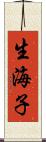 生海子 Scroll
