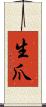 生爪 Scroll