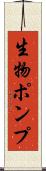 生物ポンプ Scroll