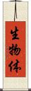 生物体 Scroll