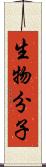 生物分子 Scroll