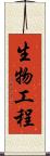 生物工程 Scroll