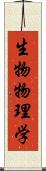 生物物理学 Scroll