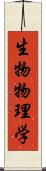 生物物理学 Scroll