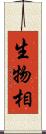 生物相 Scroll