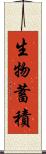 生物蓄積 Scroll