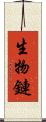 生物鏈 Scroll