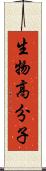 生物高分子 Scroll