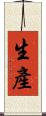 生產 Scroll