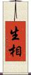 生相 Scroll