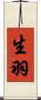 生羽 Scroll