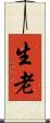 生老 Scroll