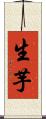 生芋 Scroll