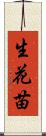 生花苗 Scroll