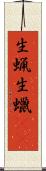 生蝋 Scroll
