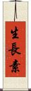 生長素 Scroll