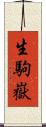 生駒嶽 Scroll