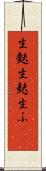 生麩 Scroll