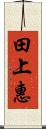 田上惠 Scroll