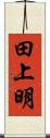 田上明 Scroll