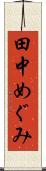田中めぐみ Scroll