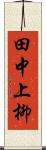 田中上柳 Scroll