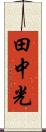 田中光 Scroll