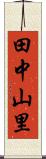 田中山里 Scroll