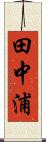 田中浦 Scroll