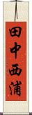 田中西浦 Scroll
