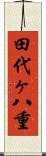 田代ヶ八重 Scroll