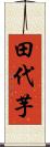 田代芋 Scroll
