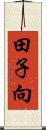 田子向 Scroll