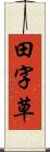 田字草 Scroll