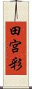 田宮彩 Scroll