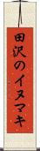 田沢のイヌマキ Scroll