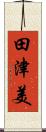 田津美 Scroll